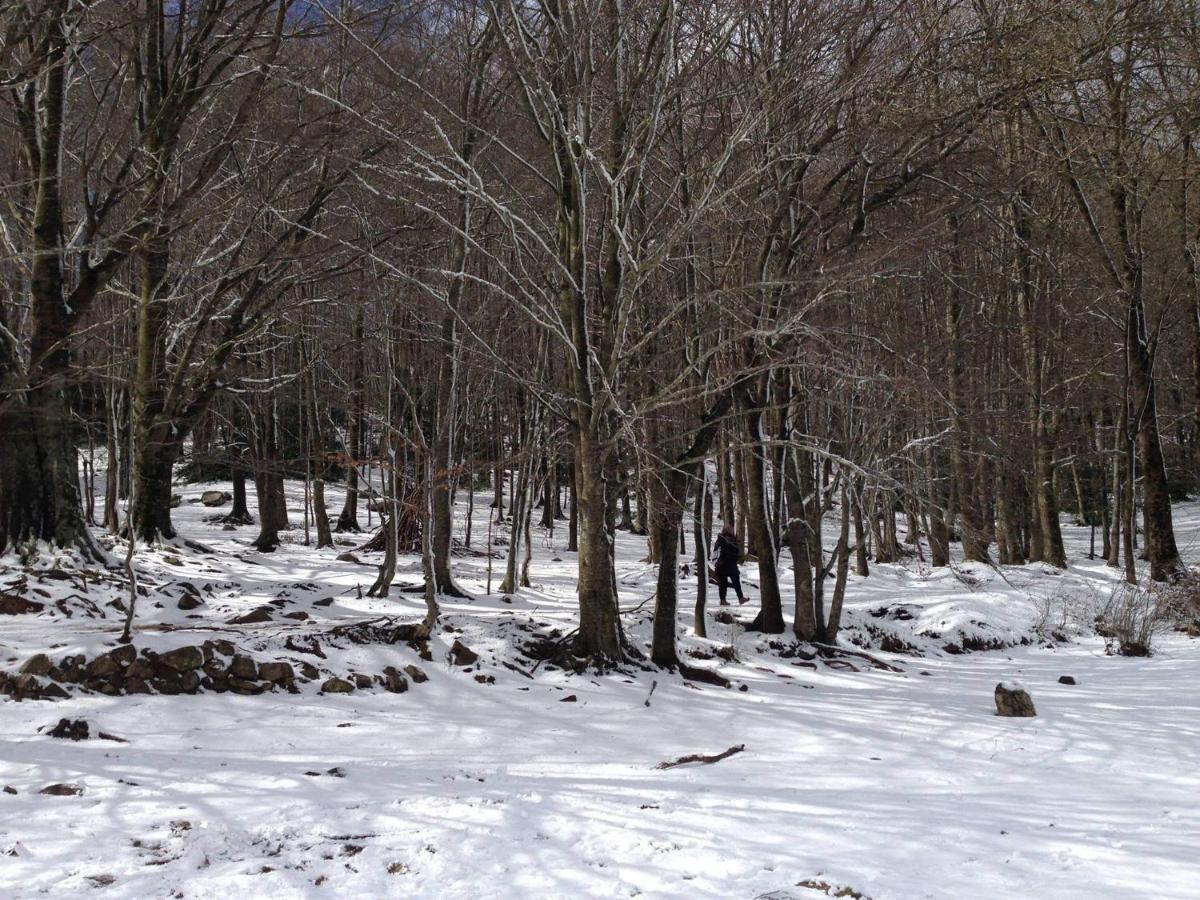 Apartaments Rural Montseny Gualba de Dalt エクステリア 写真
